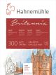 bl britannia 300g 10628980 gf 24x32 1