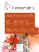 bl.aquarela 300g 30x40 - 10628146 1