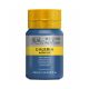 Tinta Acrílica Galeria Winsor&Newton 250ml Deep Turquoise 2137232 1