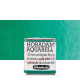 Aquarela Horadam Half Pan #511 Chromium Oxide Green Brilliant