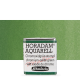 Aquarela Horadam Half Pan #512 Chromium Oxide Green