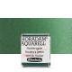Aquarela Horadam Half Pan #521 Hookers Green