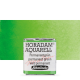 Aquarela Horadam Half Pan #526 Permanent Green
