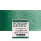 Aquarela Horadam Half Pan #533 Cobalt Green Dark