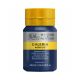 Tinta Acrílica Galeria Winsor&Newton 250ml Prussian Blue Hue 2137541