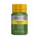 Tinta Acrílica Galeria Winsor&Newton 250ml Sap Green 2137599 1