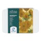 Estojo Aquarela The National Gallery Van Gogh 12 Pastilhas 