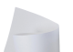 pergamenata bianco 90g 70x100 10021030