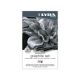 Lapis Lyra Remb C/11 Graphit 2051111