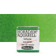 Aquarela Horadam Half Pan #530 Sap Green