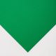 Folha Tiziano 50x65 160g Meadow (prato)